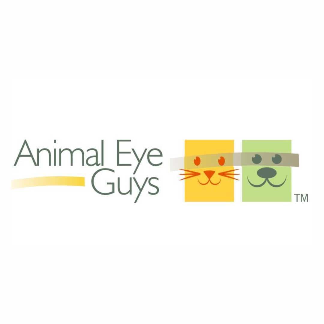 Animal Eye Guys