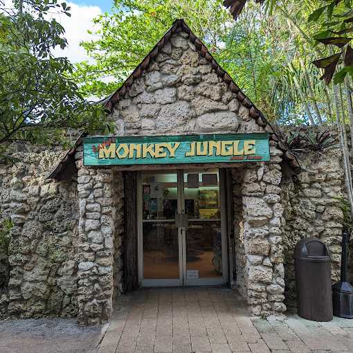 Monkey Jungle