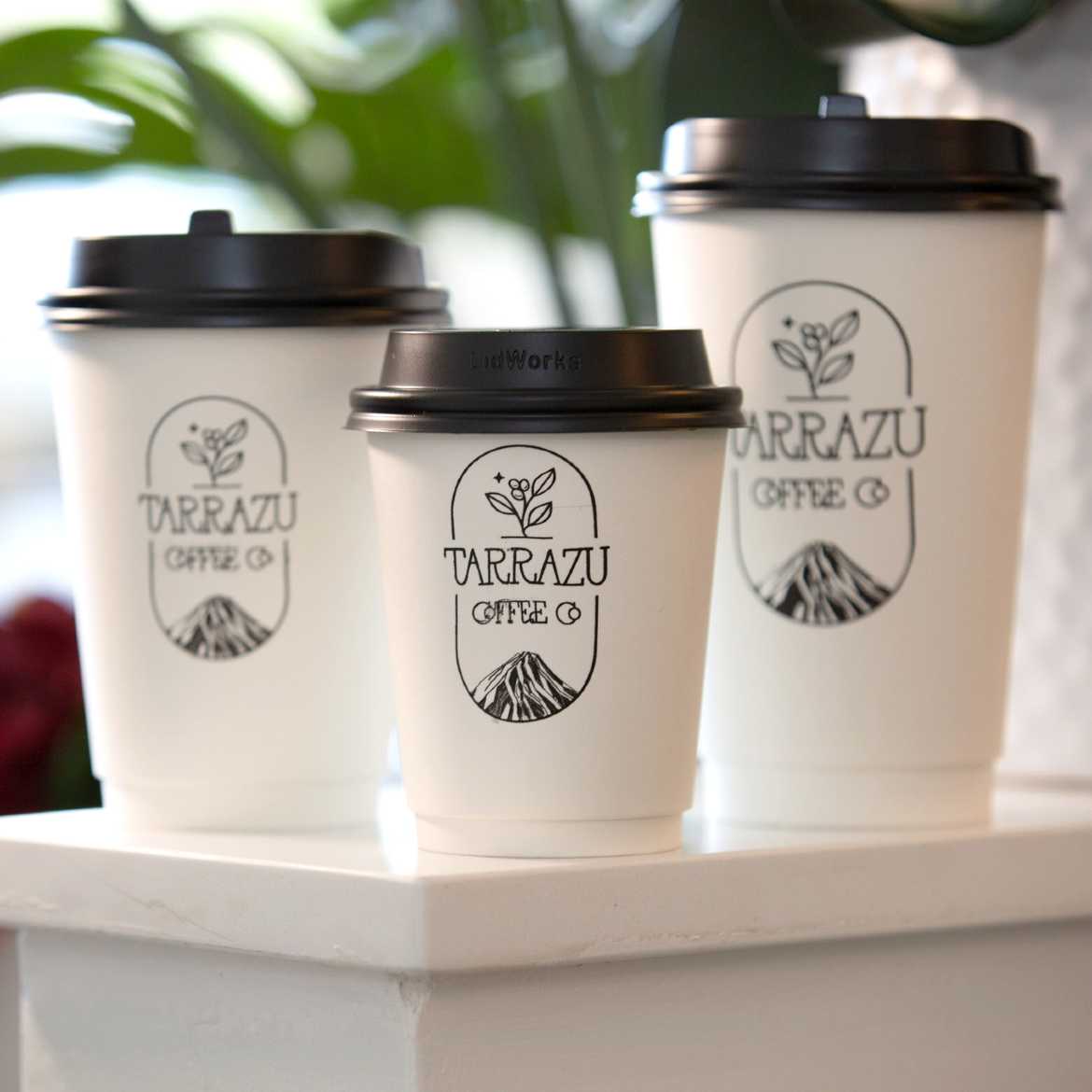 Tarrazu Coffee Co.