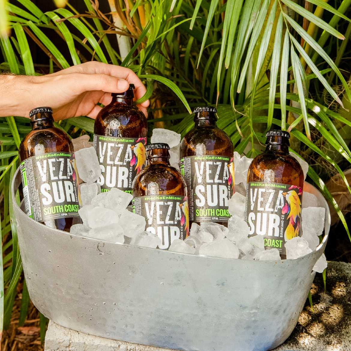 Veza Sur Brewing Co.