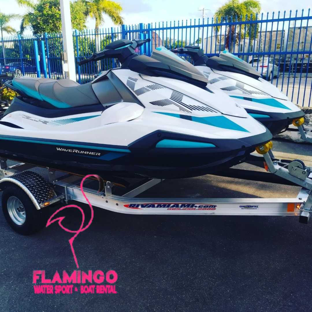 Flamingo Watersport