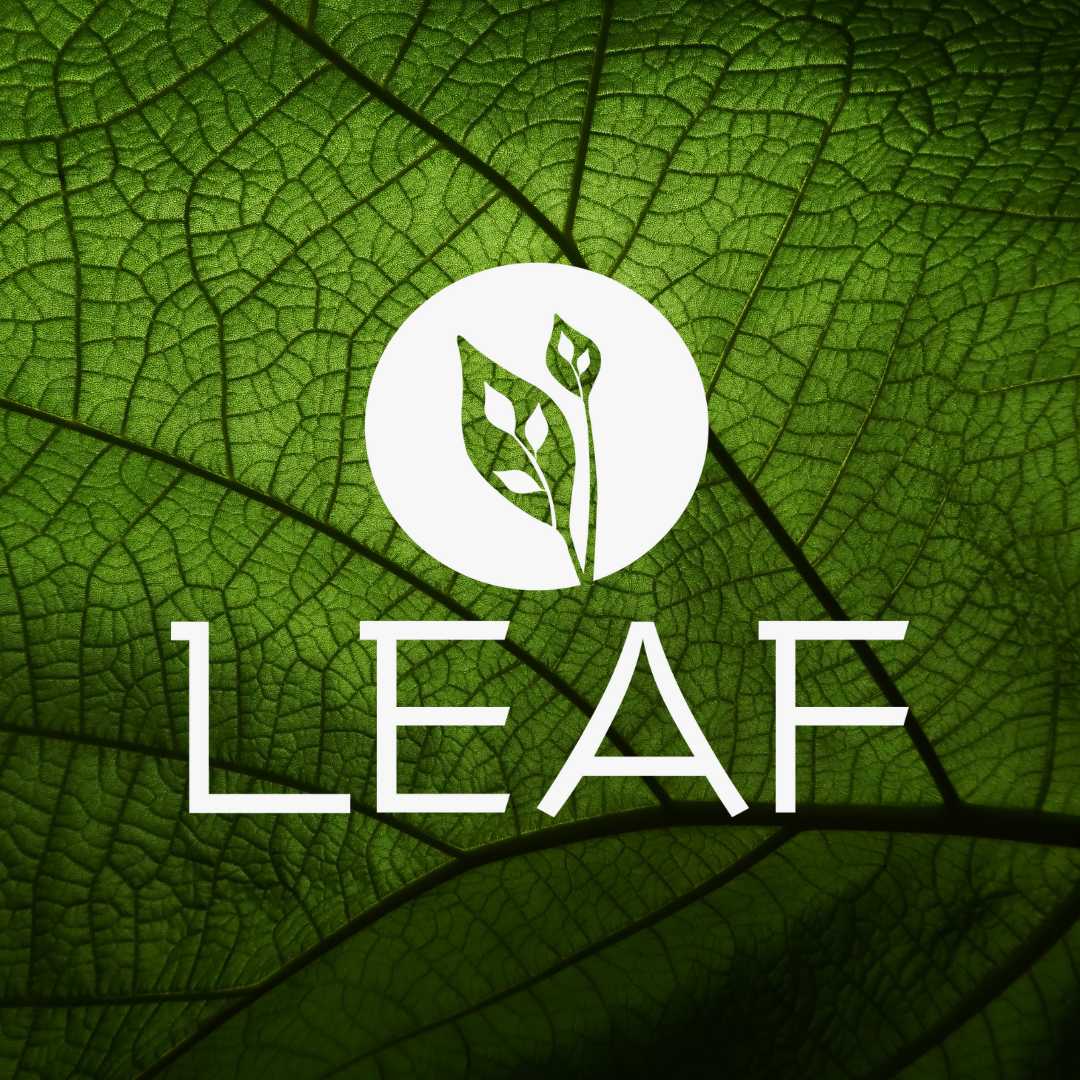 Leaf Spa