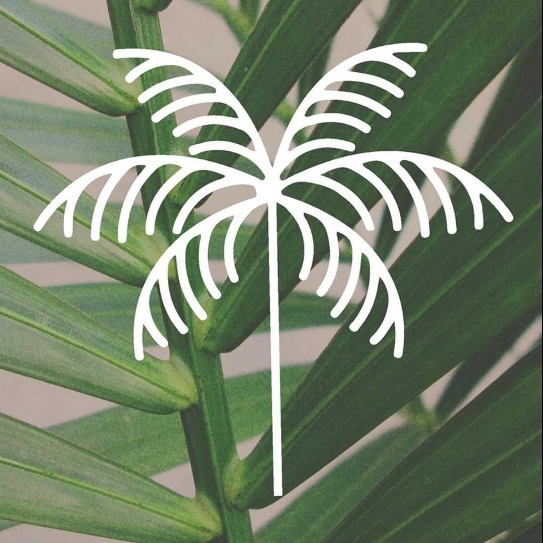 Palm Vascular Centers