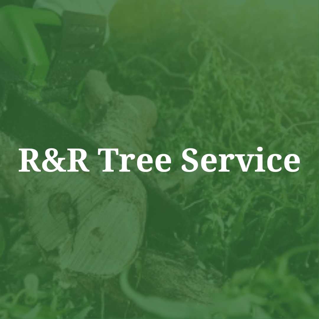 R & R Tree Service