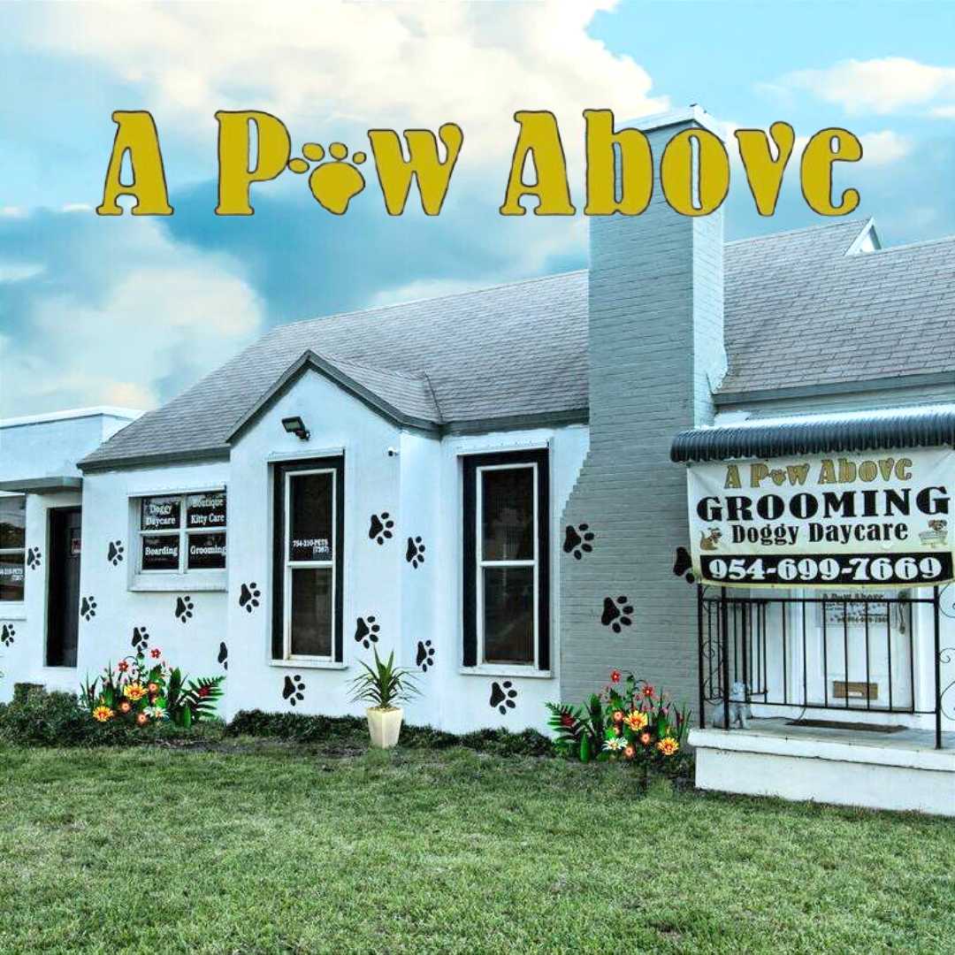 A Paw Above