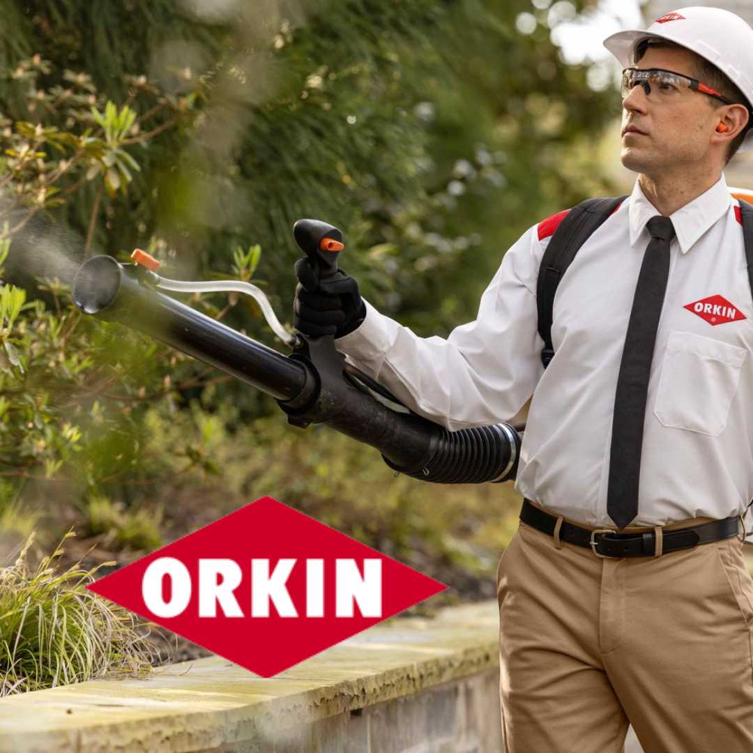Orkin