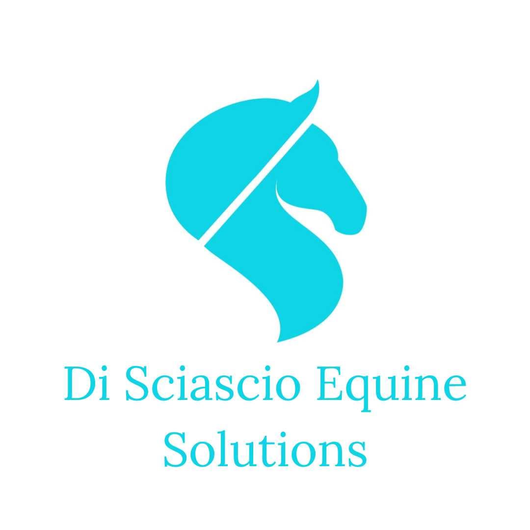 Di Sciascio Equine Solutions