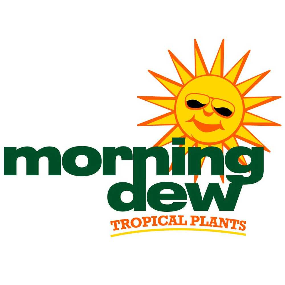 Morning Dew Tropical Plants