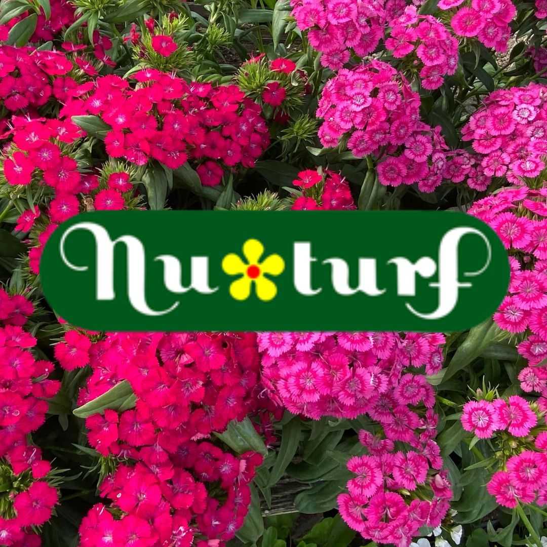 Nu Turf of Pompano Beach, Inc.
