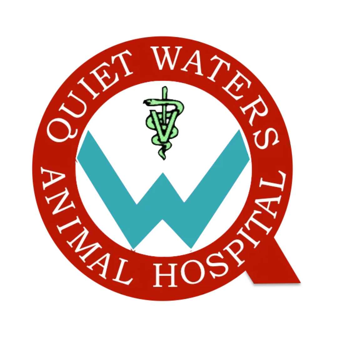 Quiet Waters Animal Hospital