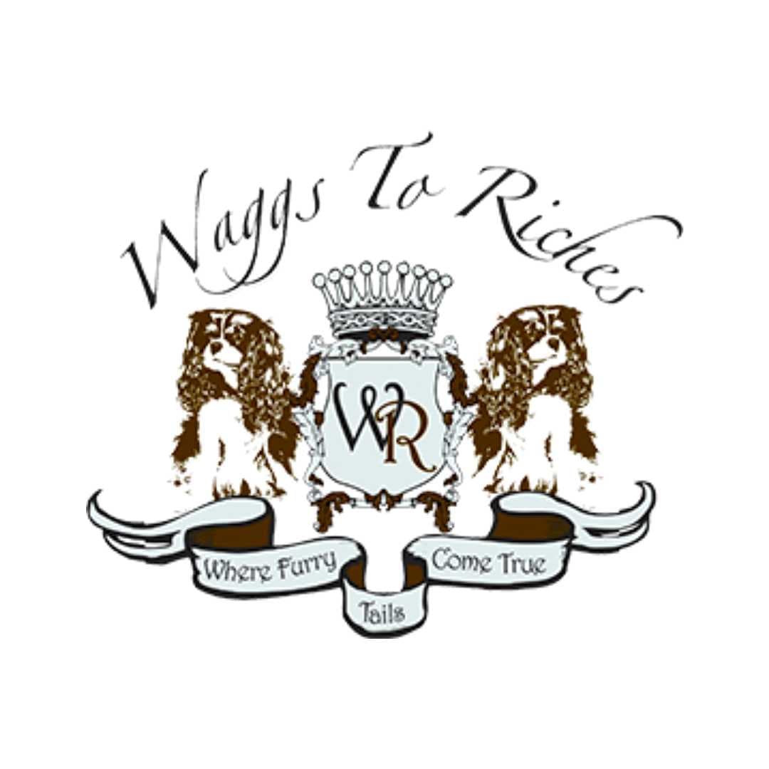 Waggs to Riches
