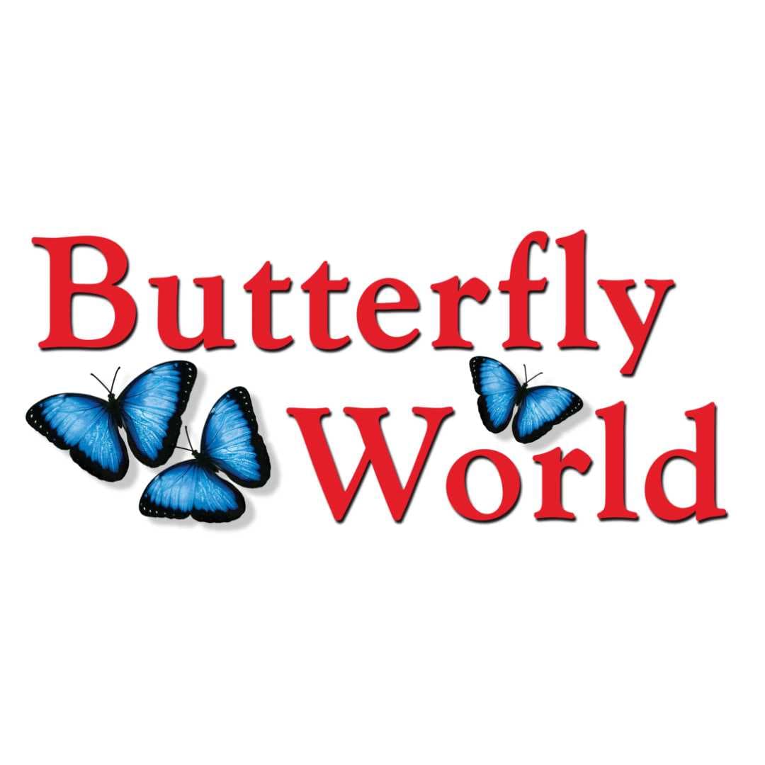 Butterfly World