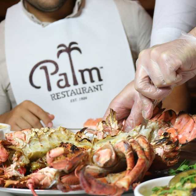 The Palm Chicago