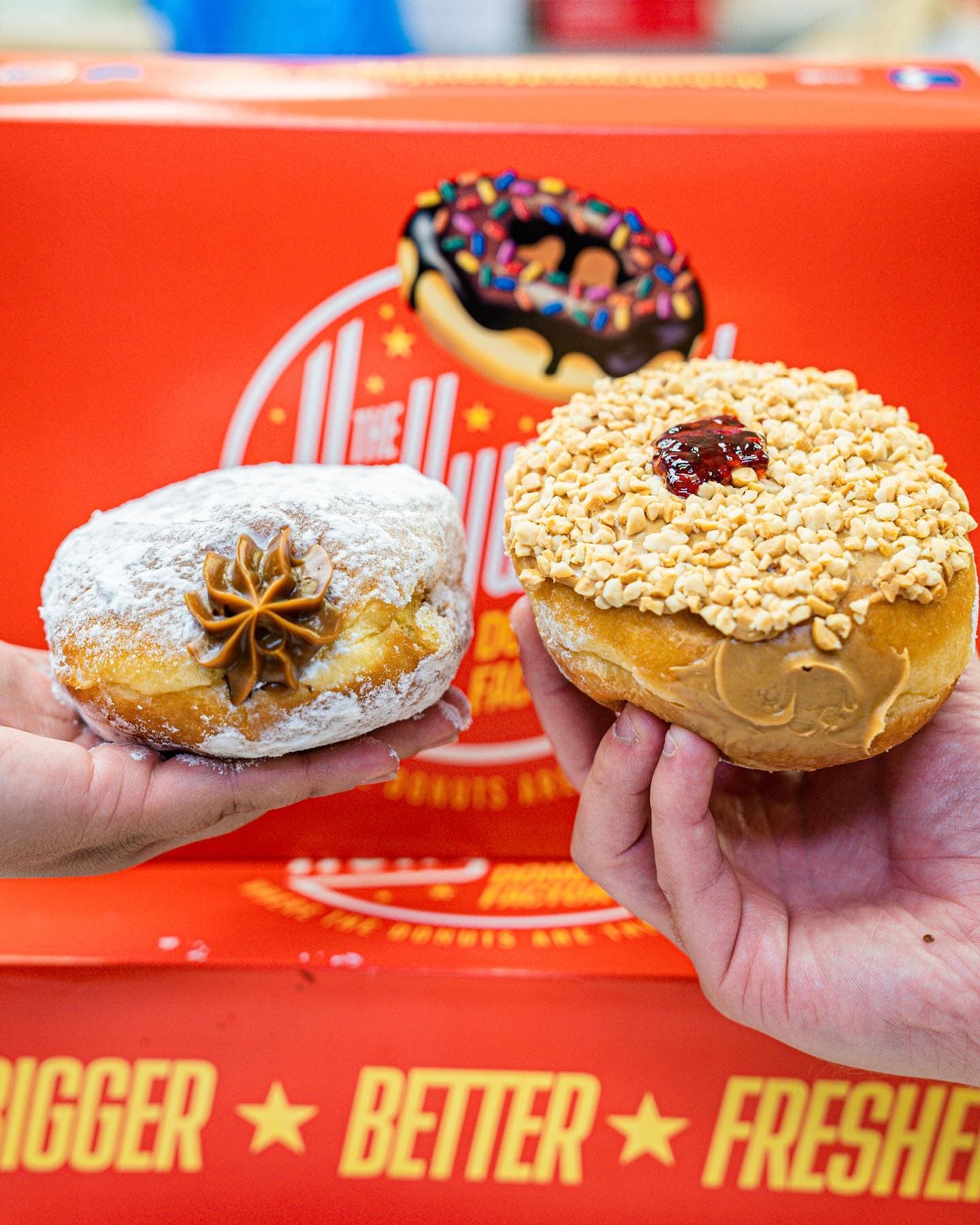The Hollywood Donut Factory