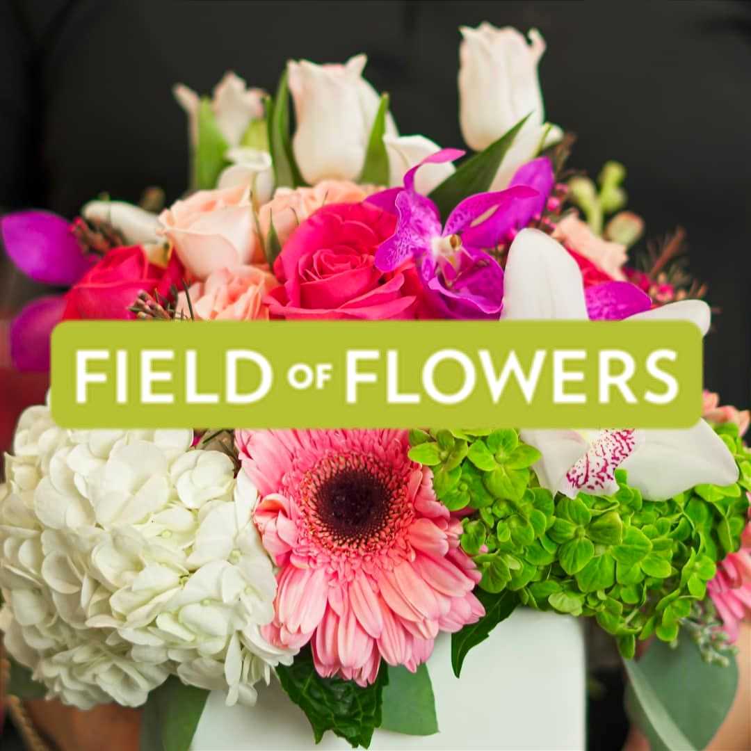 Field of Flowers