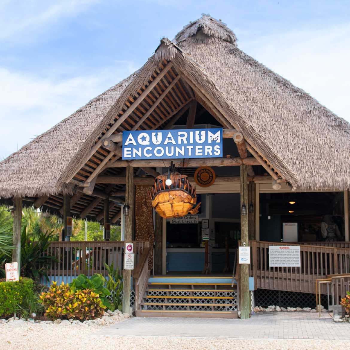 Florida Keys Aquarium Encounters