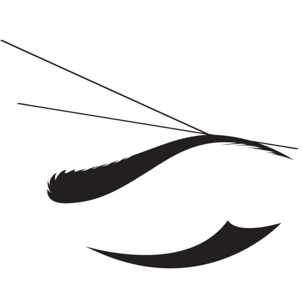 Brow Envy